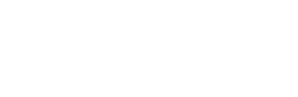 StreamVans Ltd — Regional Logistics & Removals